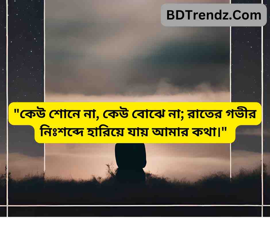 কেউ শোনে না, কেউ বোঝে না; রাতের গভীর নিঃশব্দে হারিয়ে যায় আমার কথা।